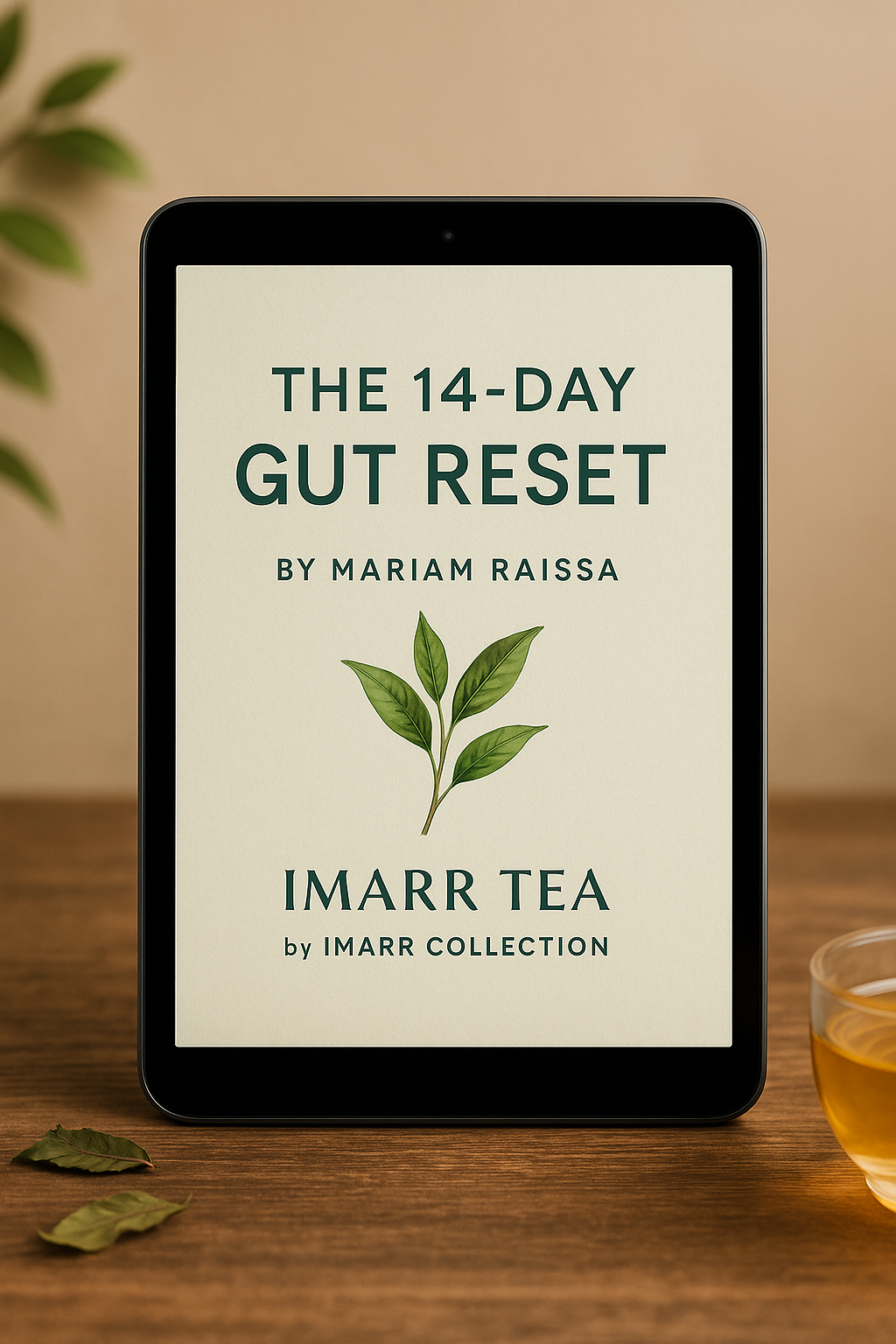 The 14 Day Gut Reset https://kdpbook.link/for/B0FC32N1M9
